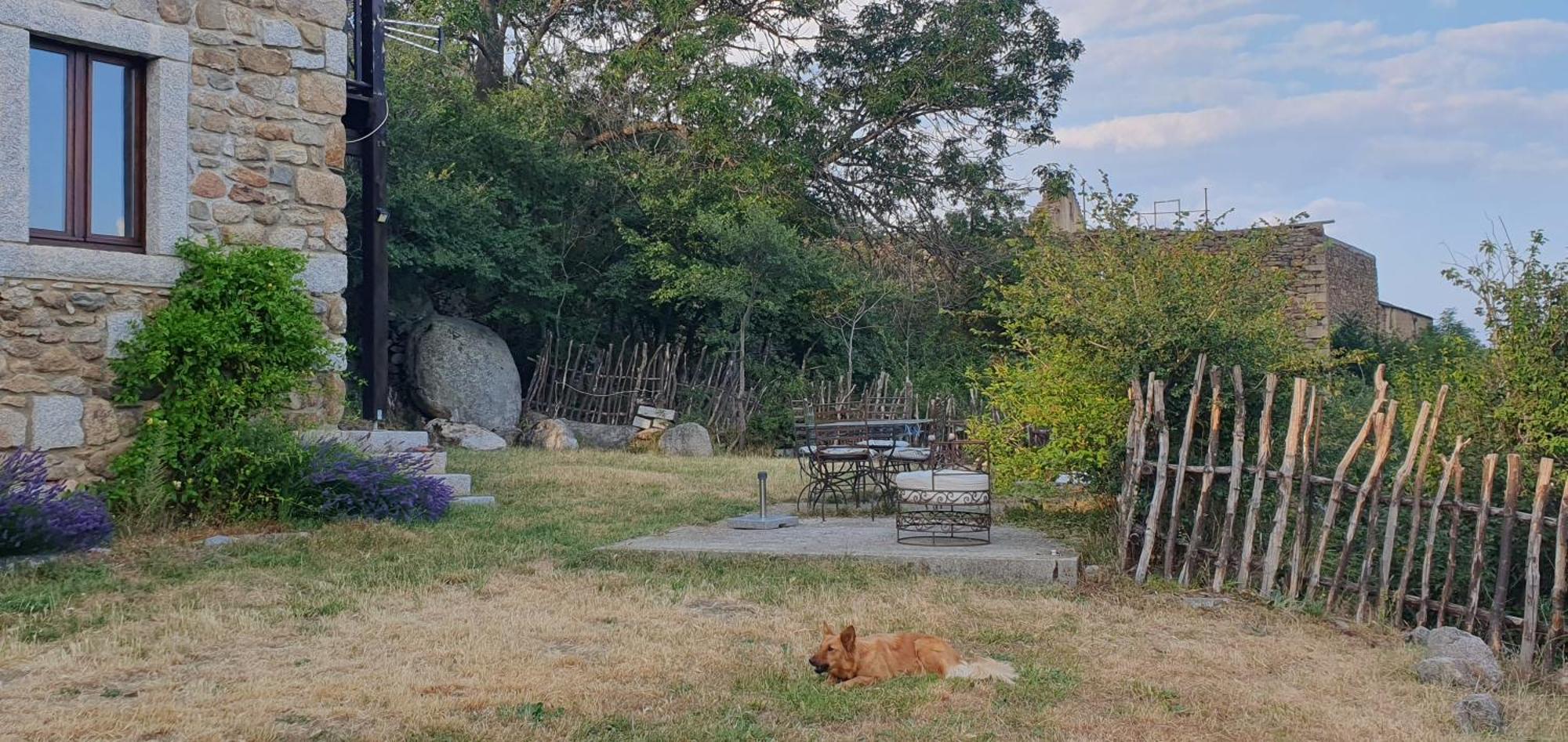 Ferme Can Llull Enveitg Bagian luar foto